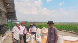Polres Batu Bara Optimalkan Potensi Lokal, 12,237 Ton Jagung Disalurkan ke Bulog Demi Ketahanan Pangan