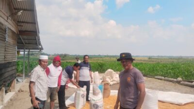 Polres Batu Bara Optimalkan Potensi Lokal, 12,237 Ton Jagung Disalurkan ke Bulog Demi Ketahanan Pangan