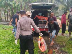 Polisi Dalami Motif Pria Ditemukan Gantung Diri di Tanjung Tiram, Keluarga Berduka Mohon Tanpa Autopsi