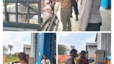 Hasil Panen Jagung Batu Bara Resmi Dipasarkan ke Bulog Asahan