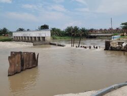 Air Dalu – dalu Mengamuk, 11 Miliar Lebih Ikut Hanyut