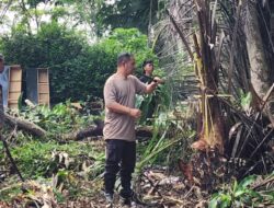 Ciptakan Lingkungan Bersih dan Nyaman, Kapolsek Lima Puluh Ajak Personel Gotyong di Mako Polsek Baru