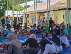 Kemenag Batu Bara Potong 10 Ekor Hewan Kurban, Wujud Kepedulian dan Kebersamaan di Hari Iduladha