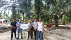Sambut Idul Adha 1447 H, INALUM Salurkan 107 Hewan Kurban di Sumatera Utara