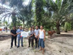 Sambut Idul Adha 1447 H, INALUM Salurkan 107 Hewan Kurban di Sumatera Utara