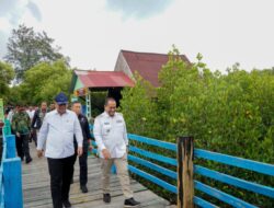 Bupati Batu Bara Pimpin Penanaman Mangrove dan Tinjau Pembangunan Kawasan Nelayan Modern