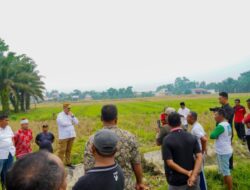 Dukung Ketahanan Pangan, Bupati Batu Bara Siapkan Solusi Irigasi bagi 200 Hektare Sawah
