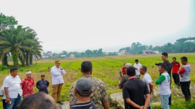 Dukung Ketahanan Pangan, Bupati Batu Bara Siapkan Solusi Irigasi bagi 200 Hektare Sawah