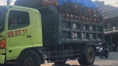Diduga Bermuatan Berlebih, Truk Pengangkut Sawit Dinilai Membahayakan Pengguna Jalan