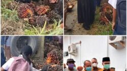 Viral di Media Sosial, Truk Sawit Terguling di Negeri Lama Diduga Tewaskan Seorang Pelajar