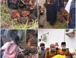 Viral di Media Sosial, Truk Sawit Terguling di Negeri Lama Diduga Tewaskan Seorang Pelajar