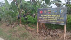 Peduli Ketahanan Pangan, Satgas TMMD Ke-129 Tanam Cabai Bersama Warga Desa Kapal Merah