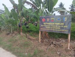 Peduli Ketahanan Pangan, Satgas TMMD Ke-129 Tanam Cabai Bersama Warga Desa Kapal Merah