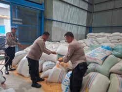Polres Batu Bara Terus Dukung Ketahanan Pangan, Distribusikan 3,230 Ton Jagung ke Bulog Asahan