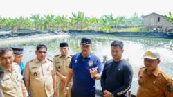 Hadiri Panen Raya di Gambus Laut, Bupati Batu Bara Dukung Pengembangan Budidaya Udang Vaname
