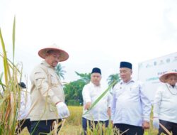 Panen Raya Lumbung Pangan Baznas, Bupati Batu Bara Tegaskan Komitmen Perkuat Ketahanan Pangan