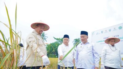 Panen Raya Lumbung Pangan Baznas, Bupati Batu Bara Tegaskan Komitmen Perkuat Ketahanan Pangan