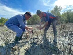 IN-Journal Chapter II Jadi Wadah Jurnalisme Lingkungan, INALUM Tampilkan 65 Karya Konservasi