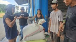 Polres Batu Bara Terus Dukung Ketahanan Pangan, Distribusi Jagung ke Bulog Asahan Capai 288,421 Ton