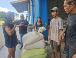 Polres Batu Bara Terus Dukung Ketahanan Pangan, Distribusi Jagung ke Bulog Asahan Capai 288,421 Ton