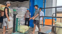 Polres Batu Bara Distribusikan 1,686 Ton Jagung ke Bulog Asahan, Total Penjualan Capai 290,107 Ton