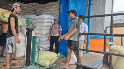 Polres Batu Bara Distribusikan 1,686 Ton Jagung ke Bulog Asahan, Total Penjualan Capai 290,107 Ton