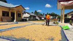 Terik Matahari Tak Menyurutkan Semangat, Kapolsek Lima Puluh AKP Salomo Dukung Ketahanan Pangan Lewat Jemur Jagung