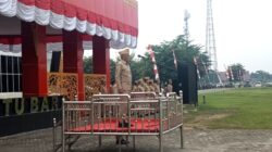 Pimpin Apel Gabungan ASN, Sekda Tekankan Penguatan Perikanan dan Peternakan Demi Swasembada Pangan
