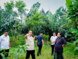 800 Ribu Bibit Aren, Bupati Baharuddin Siapkan Pengembangan Komoditas Aren di Batu Bara