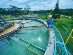 PLTA INALUM Borong 8 Penghargaan ENSIA 2026, Perkuat Praktik Industri Berkelanjutan